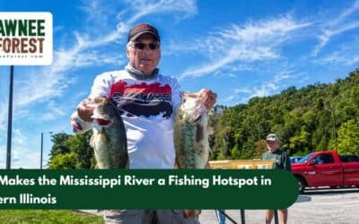 What Makes the Mississippi River a Fishing Hotspot in Southern Illinois